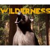 ҰWildernessⰲװ