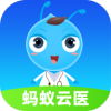 ҽv2.8.6 °
