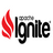 Apache Ignite(ڴƽ̨)