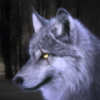 UltimateWolf(ģ޸İ)v1.1.2 ׿