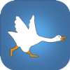 Goose()v1.0.0 ׿