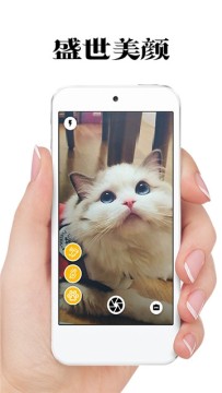 猫咪相机 猫咪相机