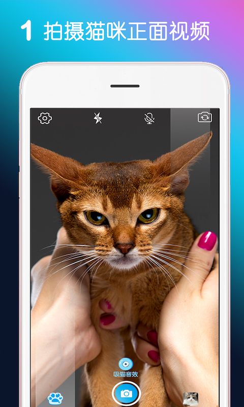 MiaowTalkè㰲׿v1.5.6 Ѱ