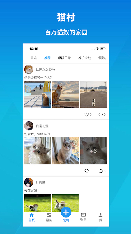 猫村appv2.6.0 安卓版