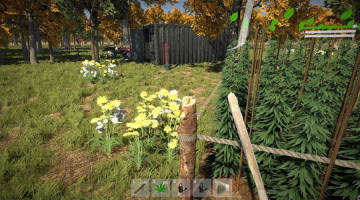 杂草农夫模拟器 杂草农夫模拟器