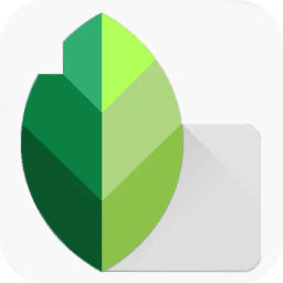 Snapseed修图v3.6.2 安卓版