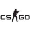 csgo_crashhandler๦ܸv1.0 Ѱ
