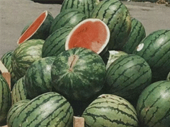΢򵥺 ʺϰְ