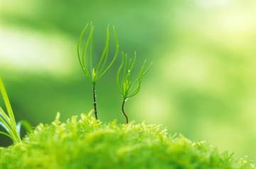 百斛环保 百斛环保