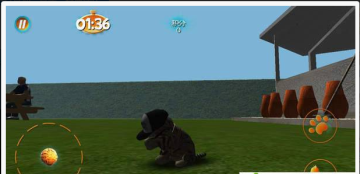 ��ʵСè3Dģ��