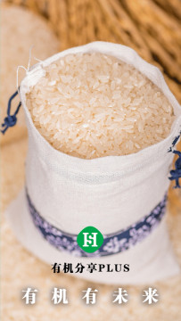 �л�����