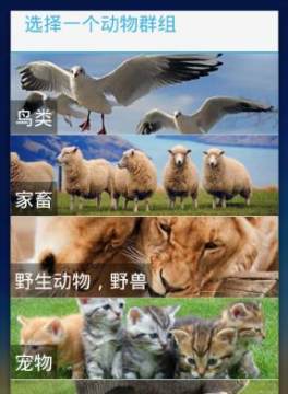 �ö�С�ɰ�app