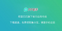 PP