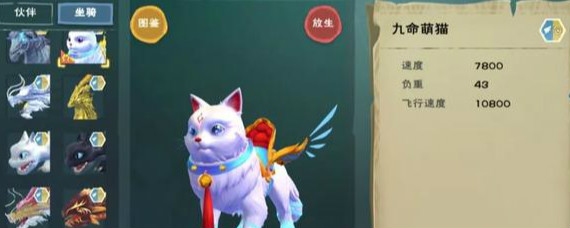 创造与魔法九命萌猫坐骑多少钱 创造与魔法九命萌猫坐骑