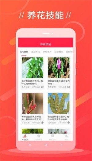 鲜花吧v1.0.0 最新版