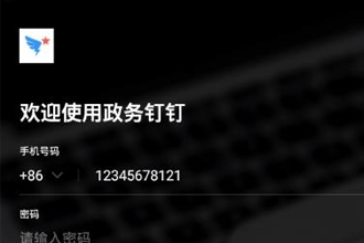 政务钉钉和钉钉一样吗 政务钉钉和钉钉的区别