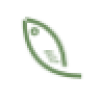 Catfish()CMSv4.9.81 ٷ