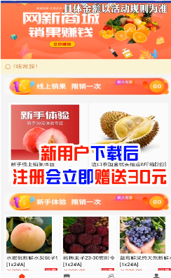 网新商城卖水果赚钱