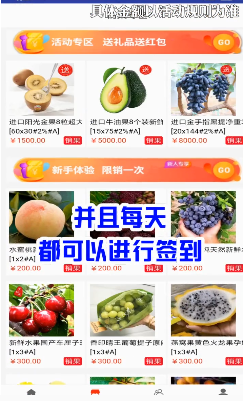 网新商城卖水果赚钱