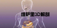 ά3D