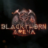 ھǶBlackthorn Arenaⰲװ