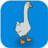 GOOSE.IO(Ҵֻ)v1.0.3 °