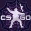 CSGOɱ