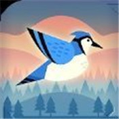 Bouncy Bird(еԵ)v1.0.0 ׿