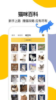 猫语翻译大全v1.1 官方版