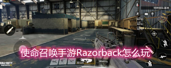 ʹٻRazorbackô ǹRazorback淨