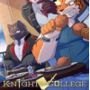 ʿѧԺ(Knights College)ⰲװɫ