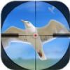 3D Bird hunter(3D)