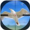 3D Bird hunter(3D)