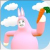 Super Bunny Man(˫)v1.02 İ