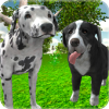 Dog Simulator 3D(ģ3D)v1.6 ׿