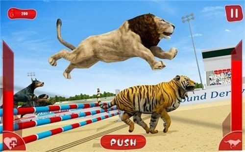 Lion Race 3d(ʨ3D)v1.1 ׿