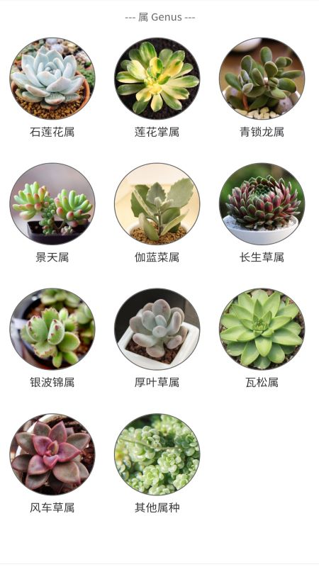 潮句多肉植物汇appv1.0 最新版