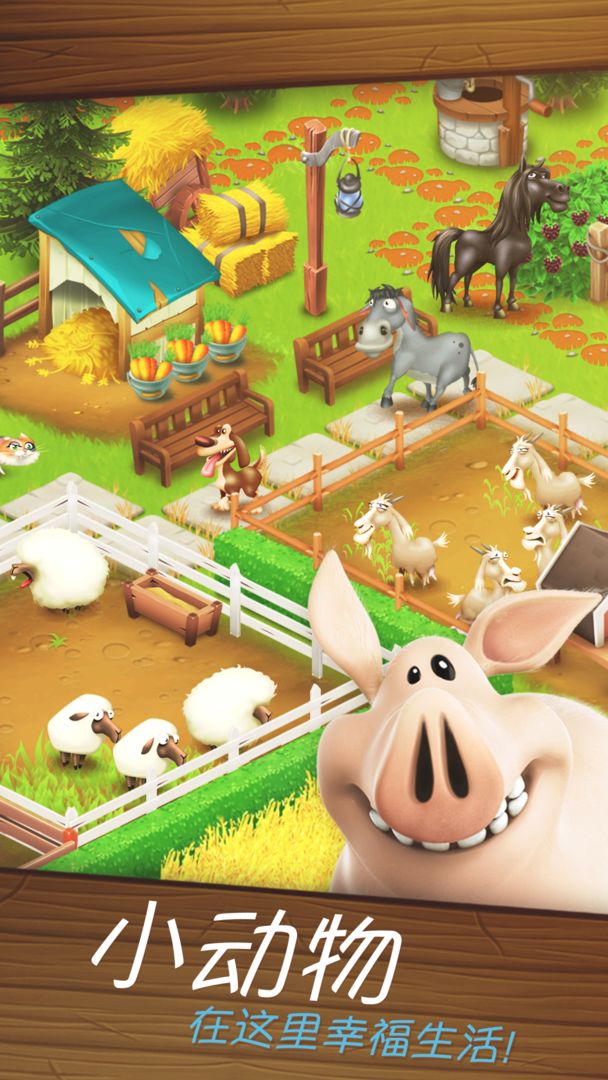 Hay Dayͨũʷ°v1.62.180 ٷ׿