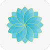 Դappv3.8 °