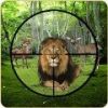 ӢWild Animal Hunterv0.75 °