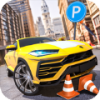 ʻѧУģDriving School Sim Car Gamesv1.0 ׿