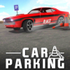 ͣģʻ(Real Car Parker)v4.2 ׿