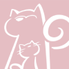 ˵app