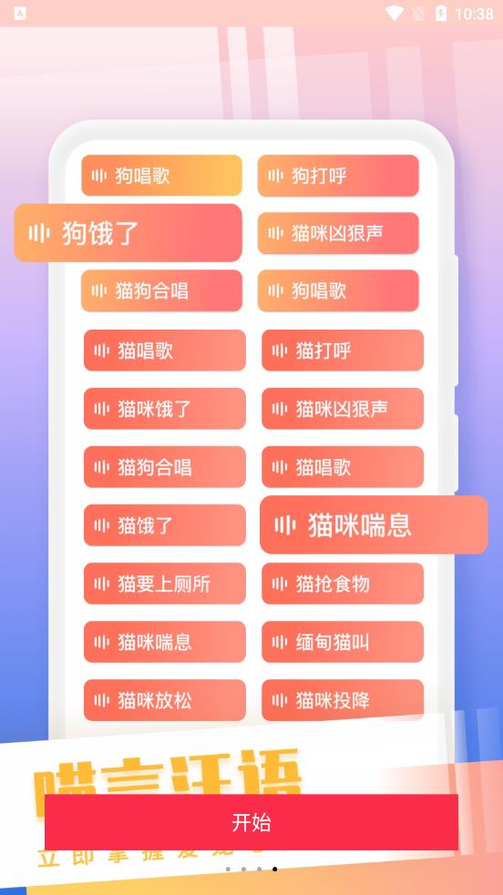 和猫对话app下载v1.0 安卓版