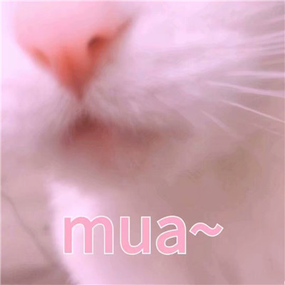 ȫ³mua ŵ