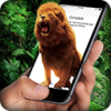 ĻеʨЦ(Lion On Screen)v1.7 °