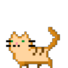 èCat Scape