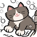 猫猫洗衣Cat Laundryv1.1安卓版