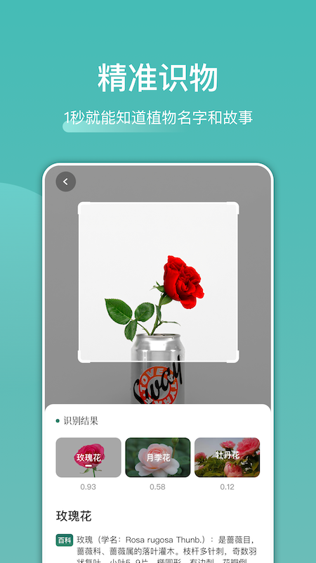 识花识物appv1.1 安卓版