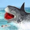 ķSea Shark Attackv1.0 ׿